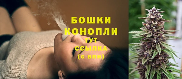 прущие крисы Осинники
