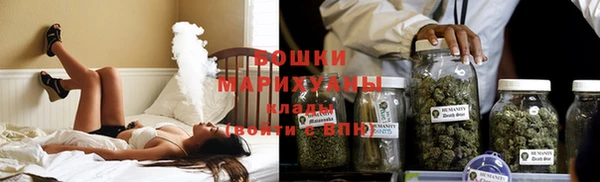 гидропоника Дмитриев