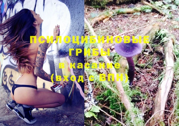 прущие крисы Осинники