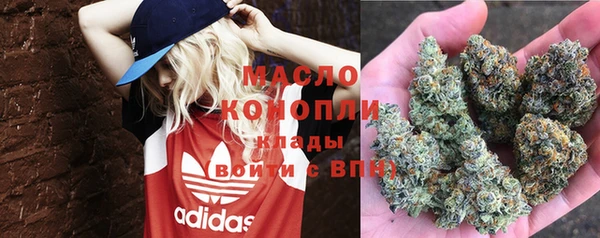 гидропоника Дмитриев