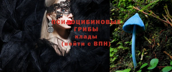 прущие крисы Осинники