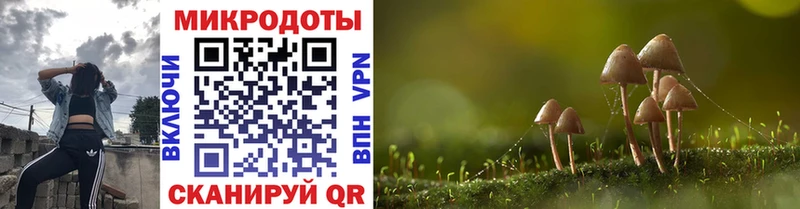Галлюциногенные грибы мухоморы Салехард